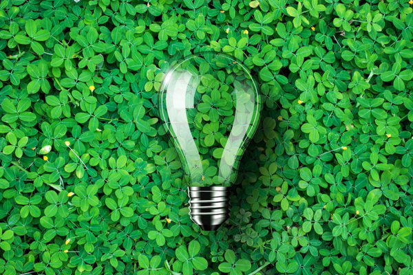 Nuo 2022 m. Ignalinos AE pirks žaliąją elektros energiją