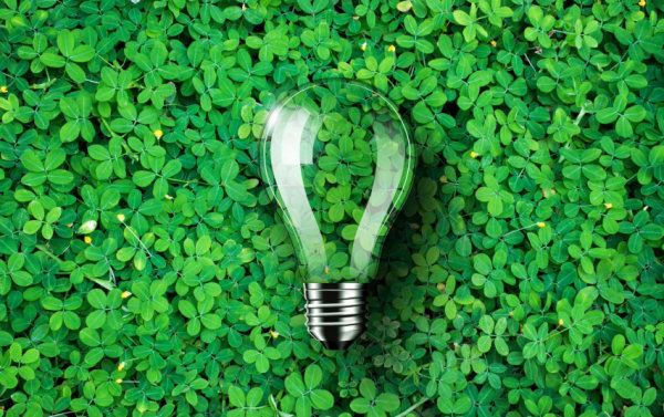 Nuo 2022 m. Ignalinos AE pirks žaliąją elektros energiją